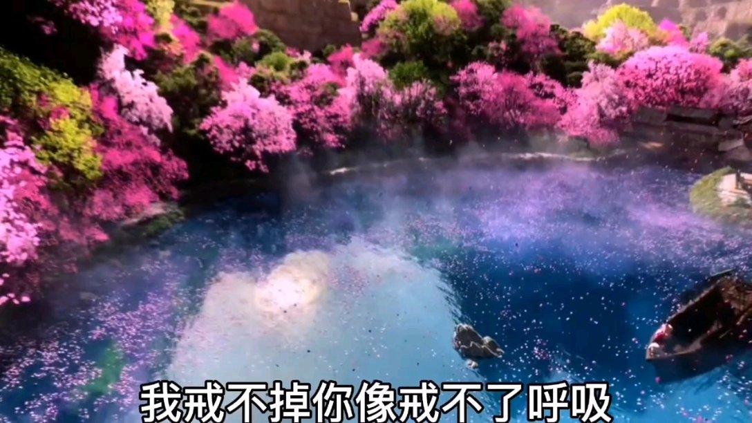 小猫钓鱼正版下载中文版