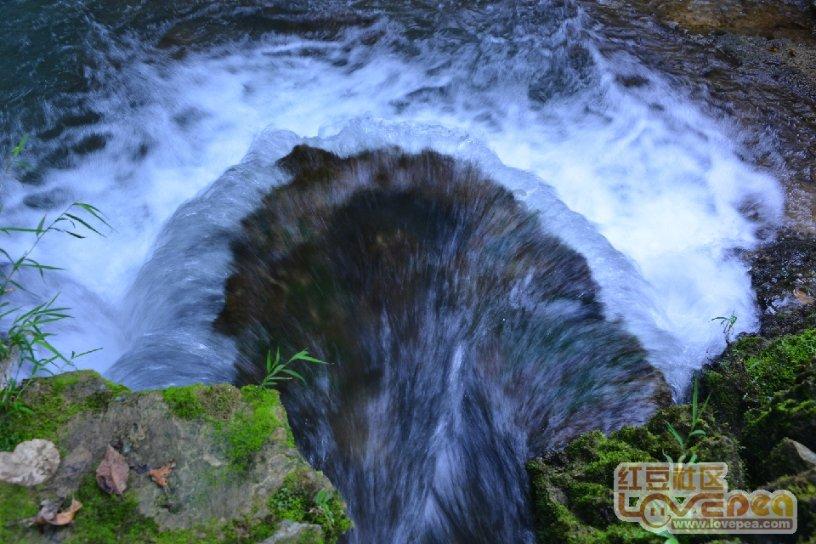逃离椰子岛